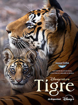 Tigre