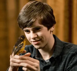 Cena Série Bates Motel